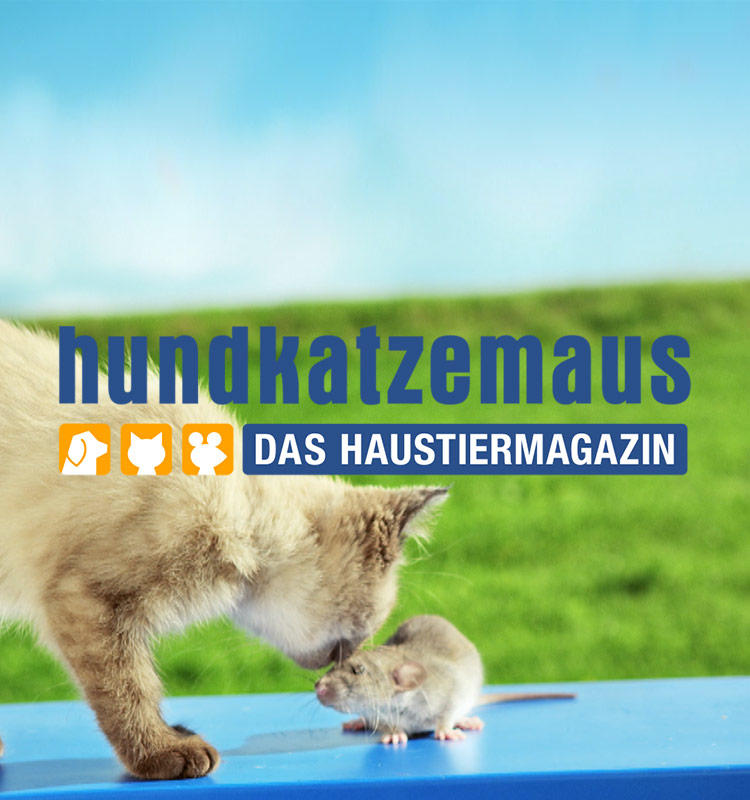 Vox Hundkatzemaus Gewinnspiel Jetzt Teilnehmen Winario