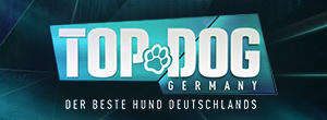 Top Dog Germany Gewinnspiel